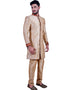 Daffodil Gold Indo western Art Silk Chudidaar Closure View