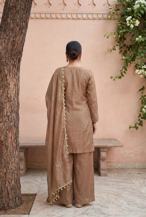 Beige Simmer Tissue Salwar Suits - Back View | Samyak Fashion