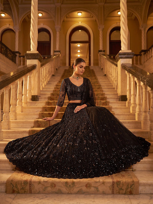 Black Net Lehenga Choli Designed Pattern Sequance,jari,thread Embroidered, Hand Work - Back View | Samyak Fashion