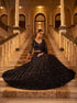 Black Net Lehenga Choli Designed Pattern Sequance,jari,thread Embroidered, Hand Work - Back View | Samyak Fashion