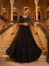 Black Net Lehenga Choli Designed Pattern Sequance,jari,thread Embroidered, Hand Work - Side View | Samyak Fashion