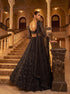 Black Net Lehenga Choli Designed Pattern Sequance,jari,thread Embroidered, Hand Work - Detail View | Samyak Fashion