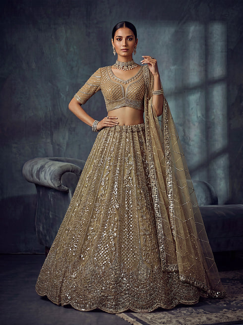 Gold Net Lehenga Choli - Front View | Samyak Fashion