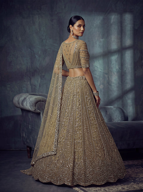 Gold Net Lehenga Choli - Back View | Samyak Fashion