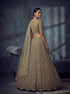 Gold Net Lehenga Choli - Back View | Samyak Fashion