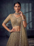 Gold Net Lehenga Choli - Side View | Samyak Fashion