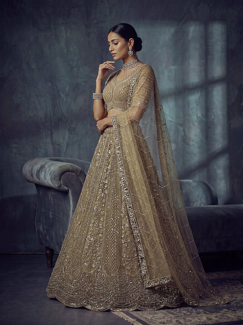 Gold Net Lehenga Choli - Detail View | Samyak Fashion