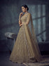 Gold Net Lehenga Choli - Detail View | Samyak Fashion