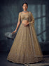 Gold Net Lehenga Choli - Close-up View | Samyak Fashion