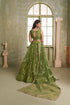 Mahendi Butterfly Net Lahenga Choli - Back View | Samyak Fashion