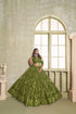Mahendi Butterfly Net Lahenga Choli - Detail View | Samyak Fashion