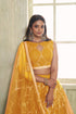 Mustard Butterfly Net Lahenga Choli - Side View | Samyak Fashion
