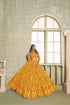 Mustard Butterfly Net Lahenga Choli - Detail View | Samyak Fashion