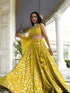 Olive Georgette Lehenga Choli - Detail View | Samyak Fashion