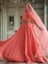 Peach Georgette Lehenga Choli - Close-up View | Samyak Fashion