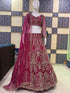 Pink Butterfly Net Lehenga Choli Ethnic Embroidery Sequins Work With Can-can & Canvas Patta - Detail View | Samyak Fashion