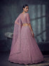 Pink Net Lehenga Choli - Back View | Samyak Fashion