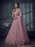 Pink Net Lehenga Choli - Detail View | Samyak Fashion