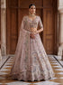 Pink Net Lehenga Choli Peacock Thread,jari,dori Embroidery,diamond Work - Front View | Samyak Fashion