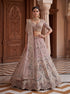 Pink Net Lehenga Choli Peacock Thread,jari,dori Embroidery,diamond Work - Back View | Samyak Fashion