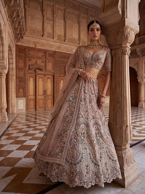 Pink Net Lehenga Choli Peacock Thread,jari,dori Embroidery,diamond Work - Side View | Samyak Fashion