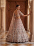 Pink Net Lehenga Choli Peacock Thread,jari,dori Embroidery,diamond Work - Close-up View | Samyak Fashion