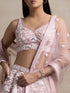 Pink Soft Net Lehenga Choli - Side View | Samyak Fashion