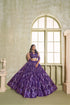 Purple Butterfly Net Lahenga Choli - Detail View | Samyak Fashion