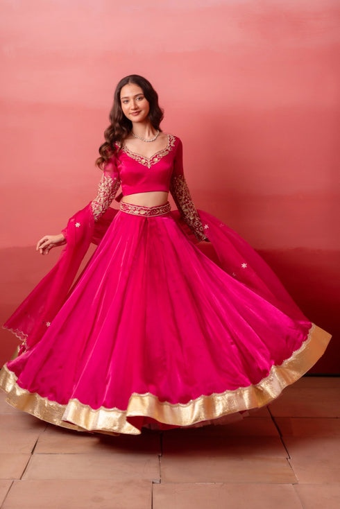 Rani Organza Arty Lehenga Choli - Side View | Samyak Fashion