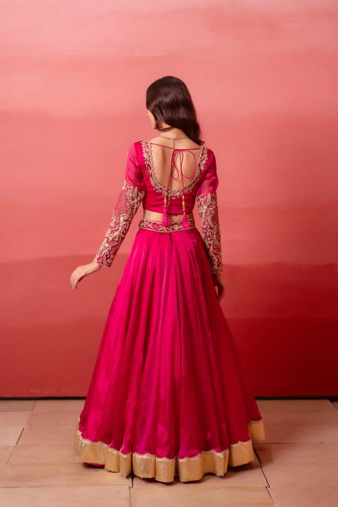Rani Organza Arty Lehenga Choli - Detail View | Samyak Fashion