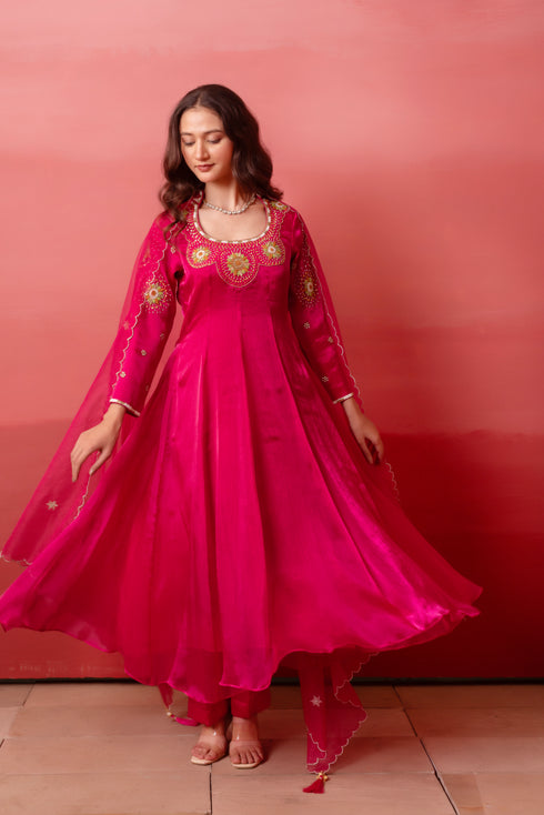 Rani Organza Salwar Suit - Back View | Samyak Fashion