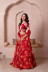 Red Chiffon Arty Lehenga Choli - Back View | Samyak Fashion