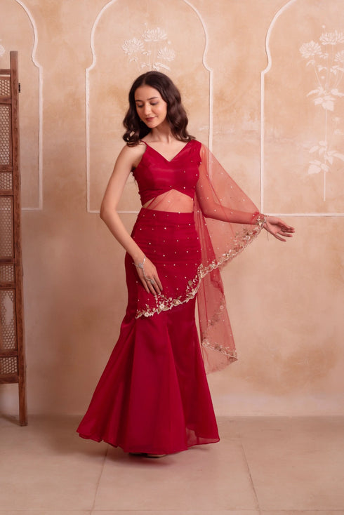 Red Organza Arty Lehenga Choli - Back View | Samyak Fashion