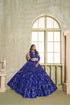 Royal Blue Butterfly Net Lahenga Choli - Detail View | Samyak Fashion