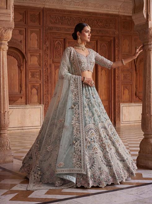 Sky Blue Net Lehenga Choli Peacock Thread,jari,dori Embroidery,diamond Work - Back View | Samyak Fashion