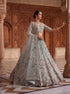 Sky Blue Net Lehenga Choli Peacock Thread,jari,dori Embroidery,diamond Work - Back View | Samyak Fashion