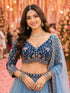 Sky Blue Real Premium Net Lehenga Choli - Back View | Samyak Fashion