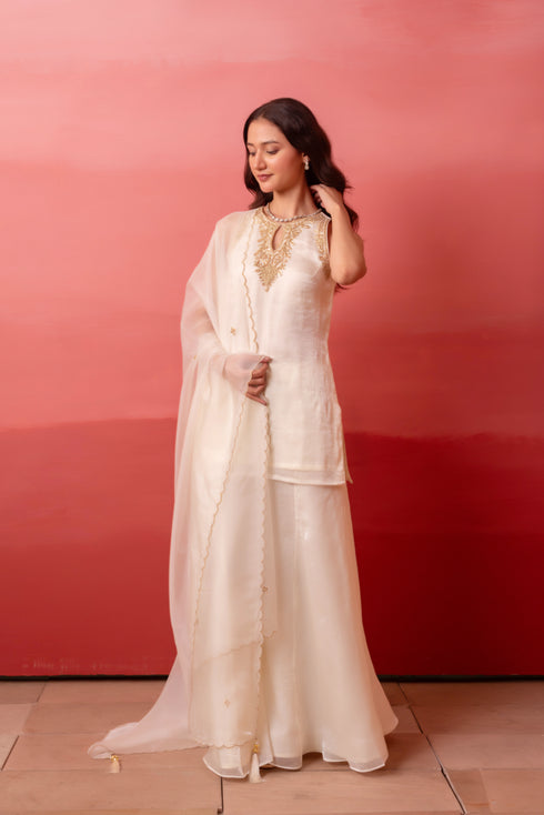 White Organza Salwar Suit - Back View | Samyak Fashion