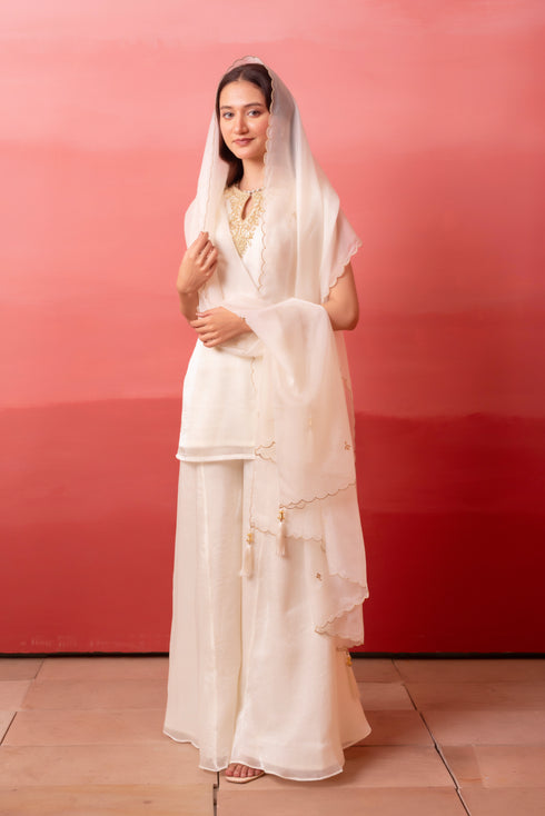 White Organza Salwar Suit - Side View | Samyak Fashion
