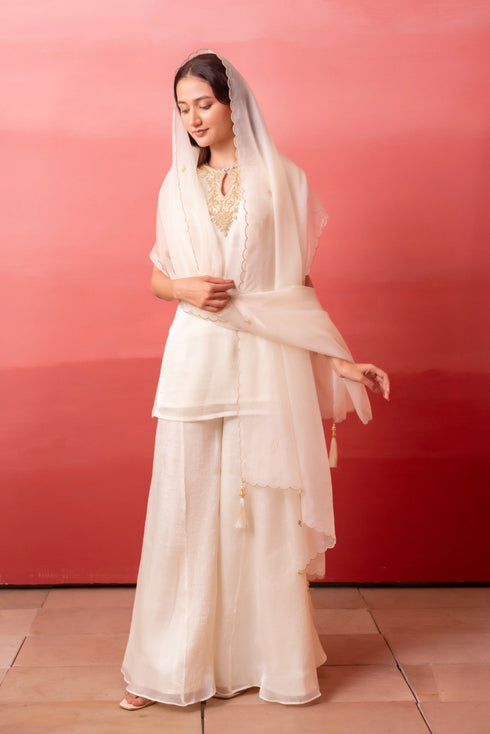 White Organza Salwar Suit - Detail View | Samyak Fashion