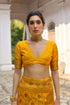 Yellow Soft Pashmina Silk Designer Function Wear Saree Collection With Blouse - Close-up View | Samyak Fashion